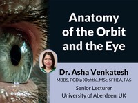 Anatomy of the orbit and the eye