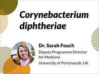 Corynebacterium diphtheriae