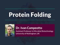 Protein folding