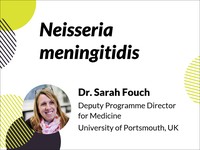 Neisseria meningitidis