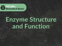 Enzyme structure and function