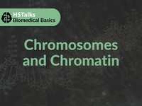 Chromosomes and chromatin