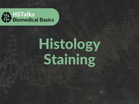 Histology staining