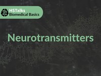 Neurotransmitters