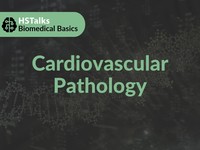 Cardiovascular pathology