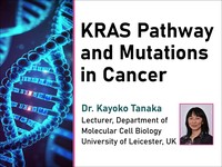 KRAS pathway and mutations in cancer