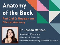 Anatomy of the back: muscles and clinical anatomy
