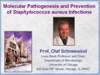 Molecular Pathogenesis of Staphylococcus aureus Infection