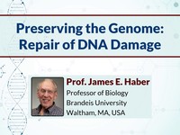 Preserving the genome: repair of DNA damage