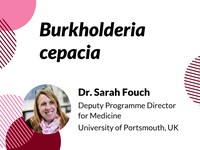 Burkholderia cepacia