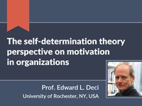 The self-determination theory perspective on motivation in organizations