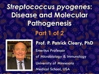 Streptococcus pyogenes: disease and molecular pathogenesis 1