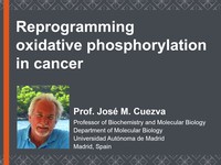 Reprogramming oxidative phosphorylation in cancer