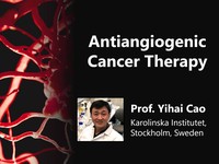 Antiangiogenic cancer therapy