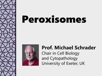 Peroxisomes