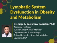 Lymphatic system dysfunction in obesity and metabolism