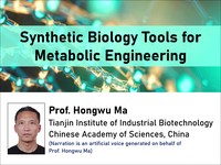 Synthetic biology tools for metabolic engineering