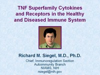 TNF superfamily cytokines and receptors in the healthy and diseased immune system