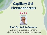 Capillary gel electrophoresis 2