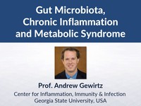 Gut microbiota, chronic inflammation and metabolic syndrome