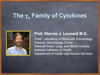 The gamma c family of cytokines
