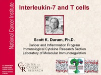 Interleukin-7 and T cells