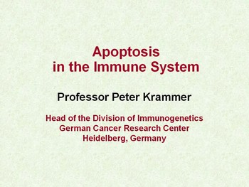 Apoptosis in the immune system | HSTalks