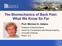 The Biomechanics Of Back Pain What We Know So Far Video Tutorial By Hstalks - 