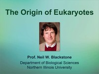 The origin of eukaryotes
