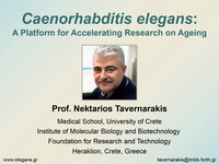 Caenorhabditis elegans: a platform for accelerating research on ageing