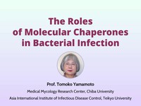 The roles of molecular chaperones in bacterial infection