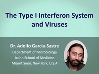 The type I interferon system and viruses