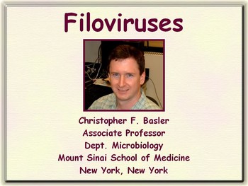 Filoviruses Video tutorial by HSTalks