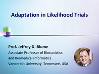 Adaptation in likelihood trials