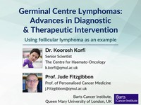 Germinal centre lymphomas: advances in diagnostic and therapeutic intervention