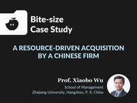 A resource-driven acquisition by a Chinese firm