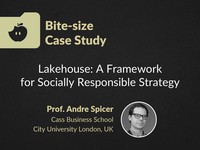 Lakehouse: a framework for socially responsible strategy