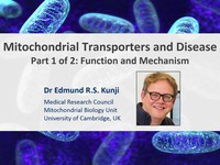 Mitochondrial transporters and disease - function and mechanism