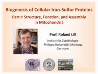 Biogenesis of cellular iron-sulfur proteins: structure, function, and assembly in mitochondria