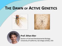 The dawn of active genetics