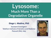 Lysosome: much more than a degradative organelle