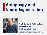 Autophagy and neurodegeneration