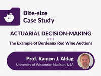 Actuarial decision-making: the example of Bordeaux red wine auctions