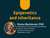 Epigenetics and inheritance