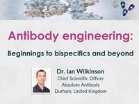 Antibody engineering: beginnings to bispecifics and beyond