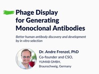 Phage display for generating monoclonal antibodies