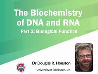 The biochemistry of DNA and RNA: biological function 2