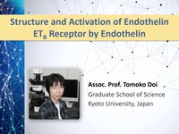 Structure and activation of endothelin ETB receptor by endothelin