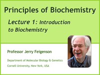 Introduction to biochemistry