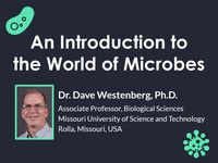 An introduction to the world of microbes